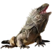 Item cubaniguana 01.png