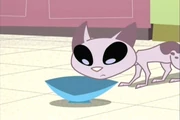 Kid Vs Kat Short - Fishy Frisky Bitty Kitty (2)