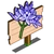 Spring Squill