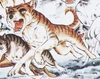 Shingaidenakatora