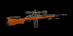M21 vietnam