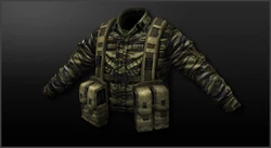 Main tiger stripe camo