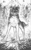 Kurojaki004-1