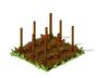 Tomato Seed