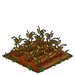 Field Bean withered