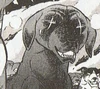 Bat8