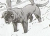 Bat17