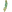 Medalla Jet.png
