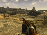 Caravan shotgun 1