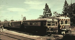 Arhs brill 057903