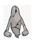 Ghostfreak Zs'Skayr nano.png (13 KB) Ghostfreak Zs'Skayr nano
