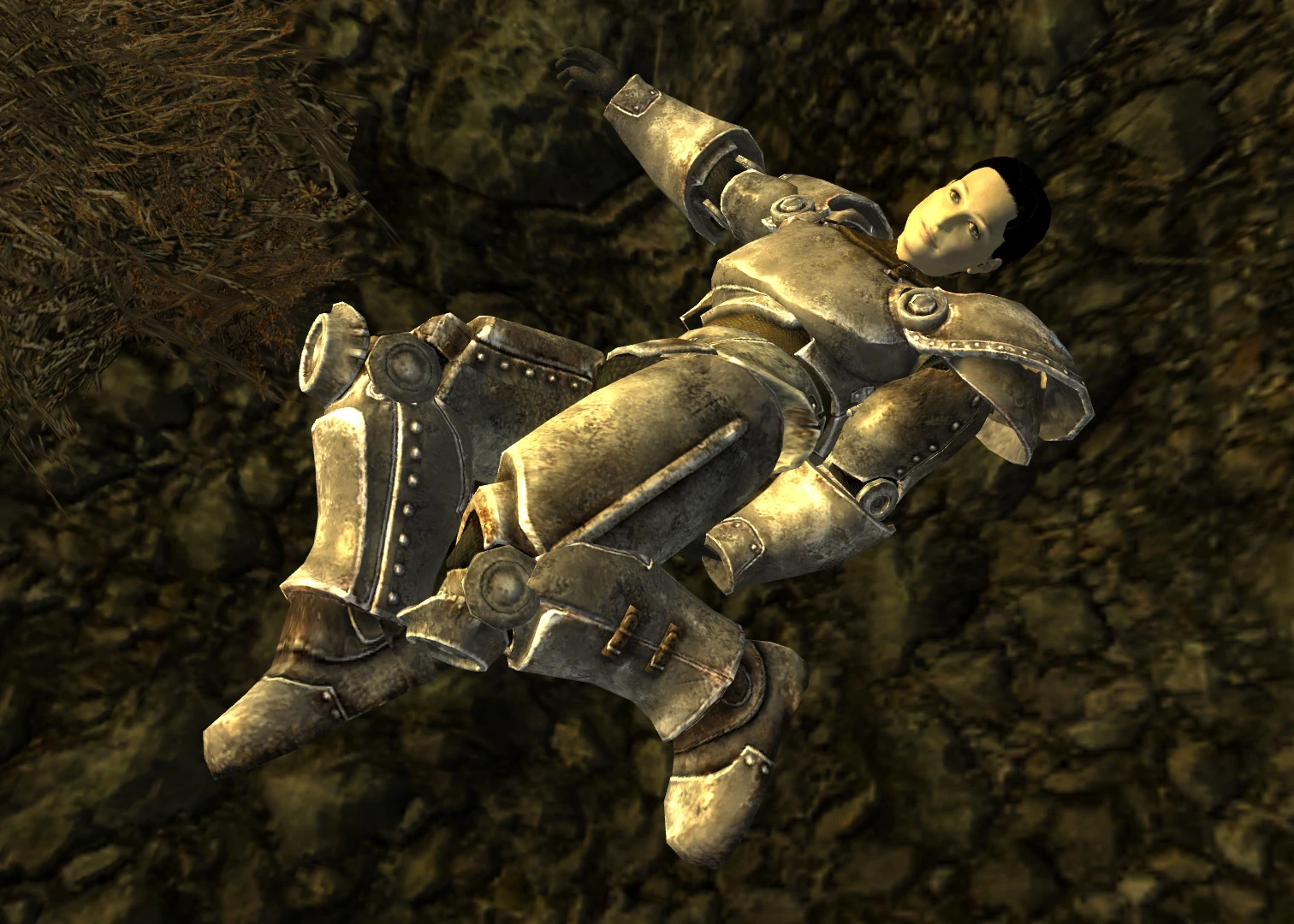 Paladin Raseleanne