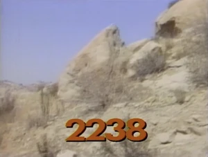2238.jpg