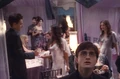 Harryveela.jpg