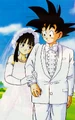Gokuxchichi