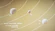 Sigma Draconis system - M class planets