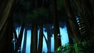 Forest Zone