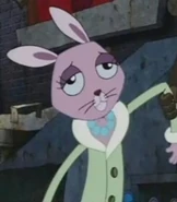 Bunny