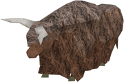 Yak