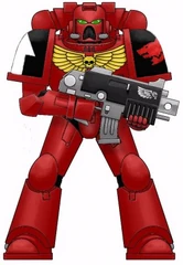 Red Wolves Marine
