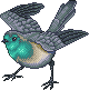 T adult 1.gif