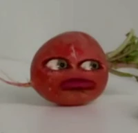Radish (season 3)