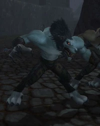 Image of Bloodfang Worgen