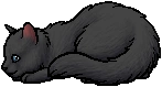 Willowshine.kit.alt2