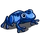 Blue Arrow Frog