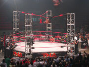 Ultimate X Match
