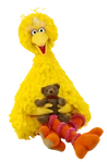 Bigbird-radar
