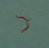 Swarming Serpent