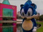 Soniccostume2