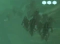 Hydlings