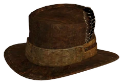 Cowboy hat