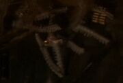 Cardassian neckbones