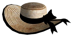 Vikkis bonnet