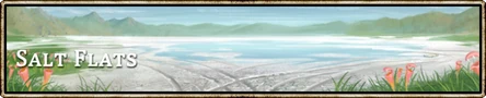 Location banner Salt Flats