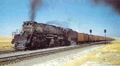4014.jpg