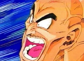 Nappa14
