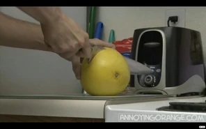 Deathofgrapefruit