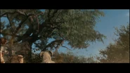 NarnianDryadsAttack2