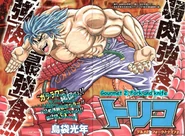 Toriko-573584