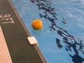 Water-polo-mid-pool.JPG