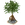 Mangrove Tree-icon