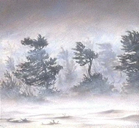 Weather blizzard.gif