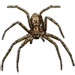 Item harmlessspider 01.png