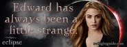 1-rosalie-eclipse-quote