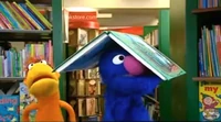 MisadventuresGroverTotoBookstore