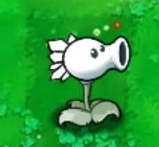 Imitater Snow Pea.jpg (6 KB)